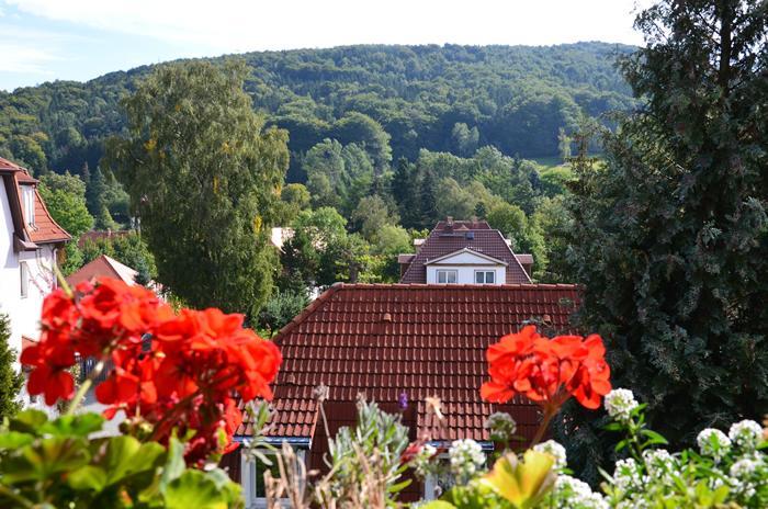 Villa Sonnenseite Jonsdorf Екстер'єр фото