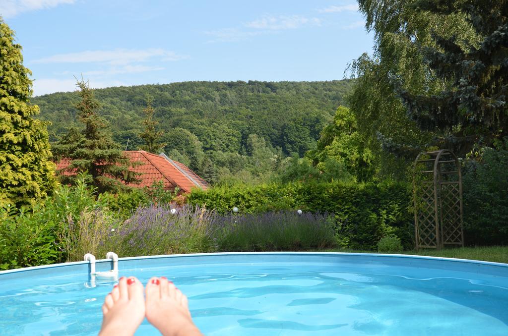 Villa Sonnenseite Jonsdorf Екстер'єр фото